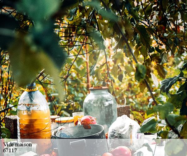 Vide maison-5